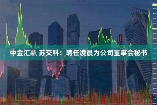 中金汇融 苏交科：聘任凌晨为公司董事会秘书