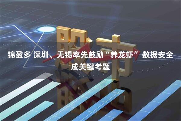 锦盈多 深圳、无锡率先鼓励“养龙虾” 数据安全成关键考题
