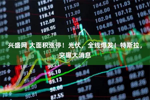 兴盛网 大面积涨停！光伏，全线爆发！特斯拉，突曝大消息