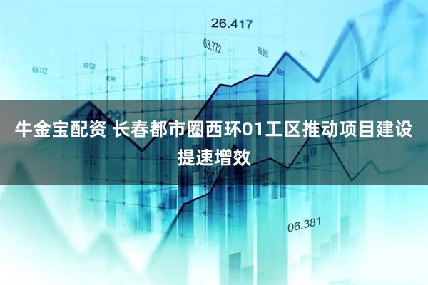 牛金宝配资 长春都市圈西环01工区推动项目建设提速增效
