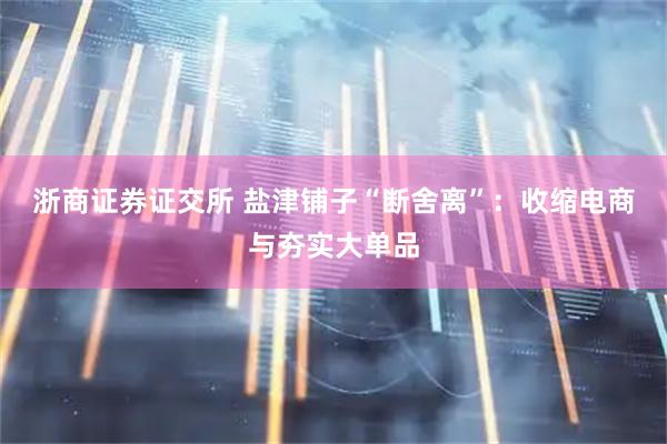 浙商证券证交所 盐津铺子“断舍离”：收缩电商与夯实大单品